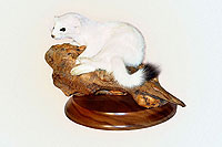 Ermine Mount