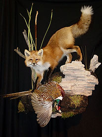 Red Fox Mount