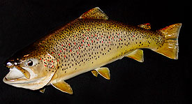 Trout Mount