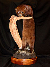 Mink Mount